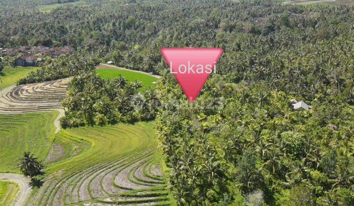 Hot List of land for sale with sea view, Lumbung Selemadeg location, West Tabanan 1