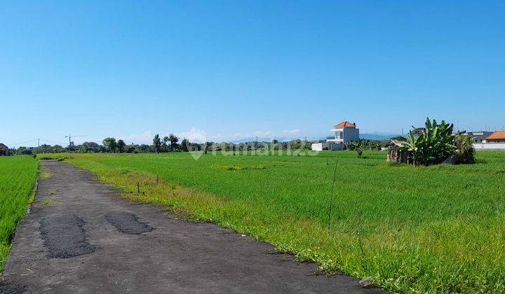 Hot List Di Jual Tanah View Laut Sawah Lokasi Cemagi Mengwi Badung 1