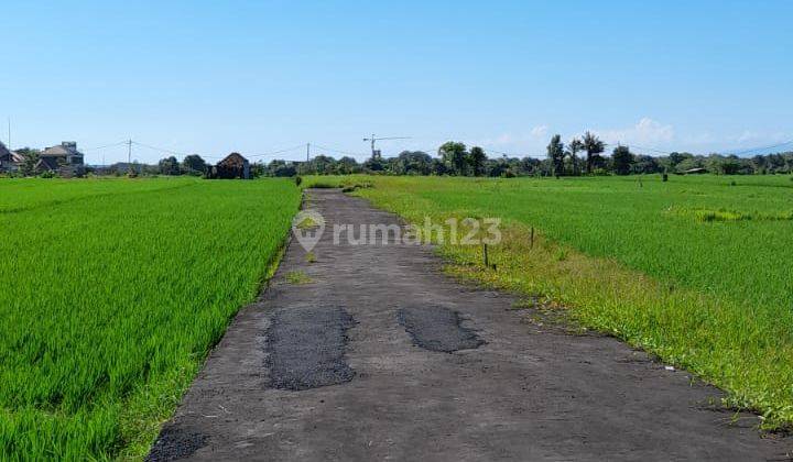 Hot List Di Jual Tanah View Laut Sawah Lokasi Cemagi Mengwi Badung 2