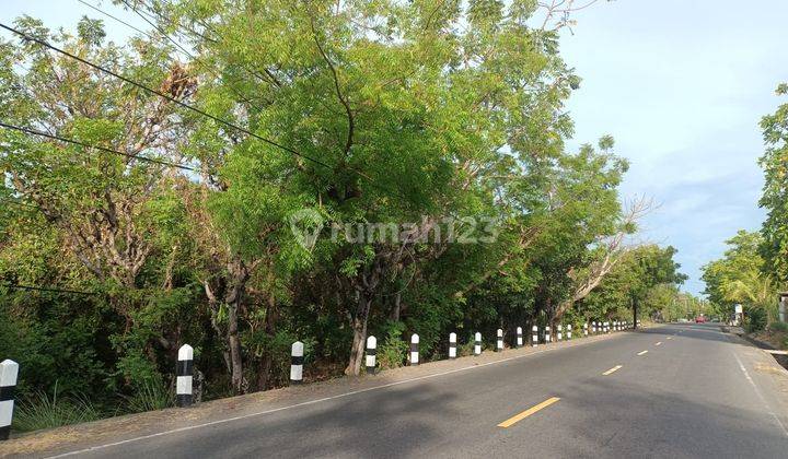 Hot List of Land for Sale Roadside Loss Beach Sea View Location Tianyar Kubu Karangasem 1