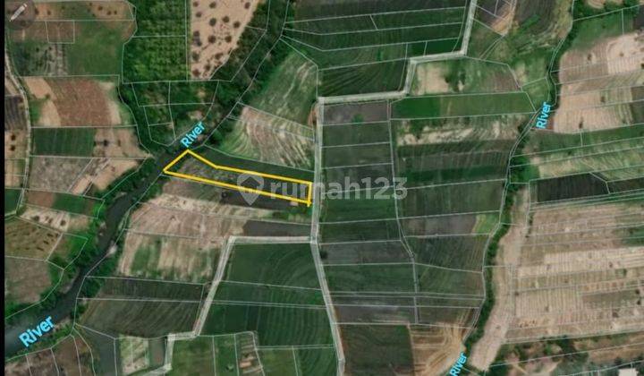 Hot List Di Jual Tanah Loss Sungai View Laut Lokasi Kelating Kerambitan Tabanan 2