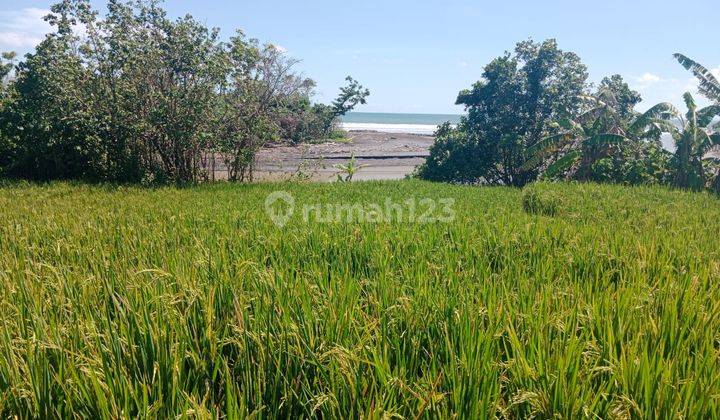 Hot List Di Jual Tanah Loss Sungai View Laut Lokasi Kelating Kerambitan Tabanan 1