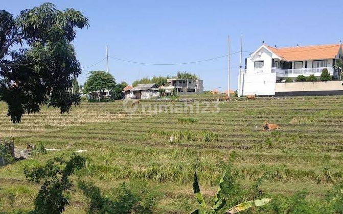 Hot List Di Jual Tanah Loss Sungai View Sawah Lokasi Umalas Kerobokan Kuta Utara Badung 1