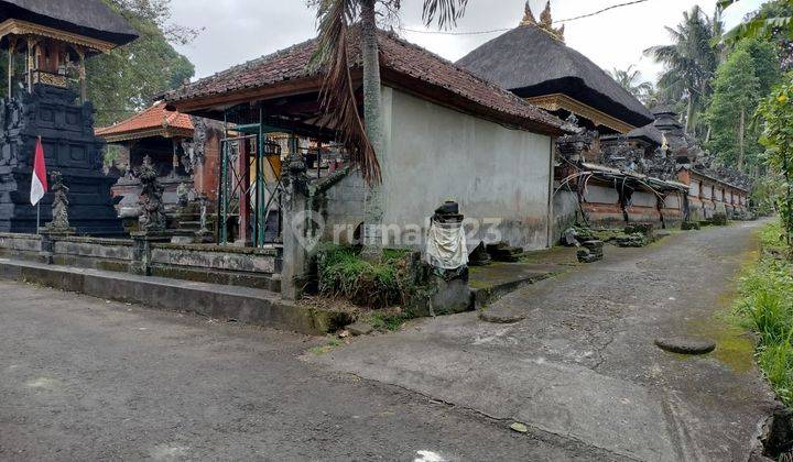 Hot List Di Jual Kost Lokasi Blahkiuh Abiansemal Badung 2