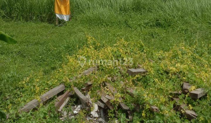 Hot List Land For Sale Tebongkang Ubud Gianyar 1