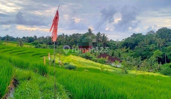 Hot List of Land for Sale in Cemagi Mengwi Badung Location 1