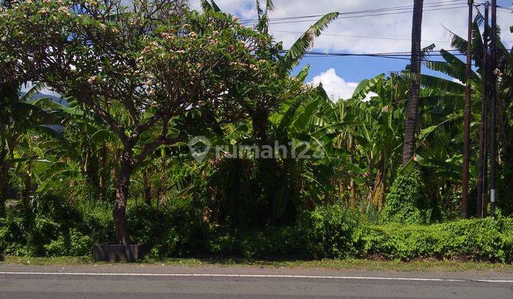 Hot List of Land for Sale on the Main Road, Patas Gerokgak Buleleng Location 2