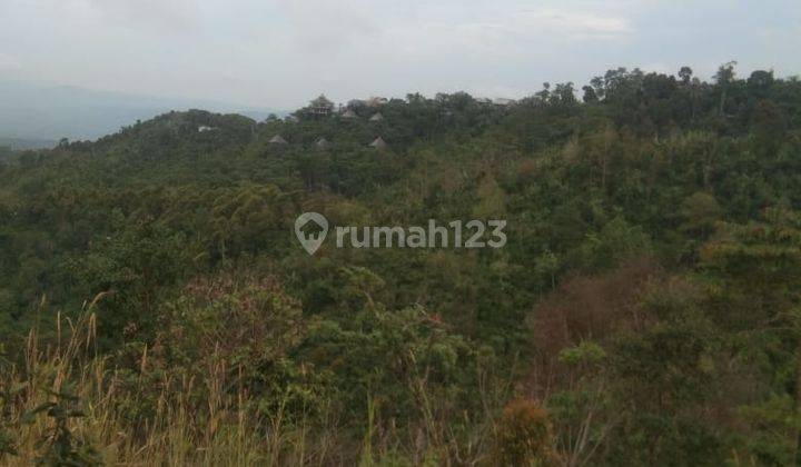 Hot List Land for sale in Munduk Gesing Banjar Buleleng 2