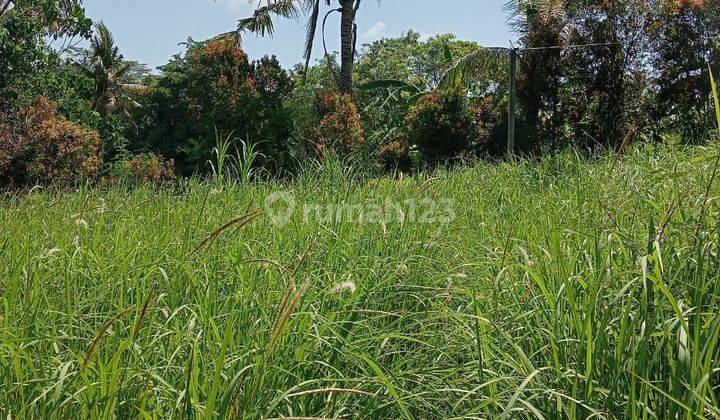 Hot List Di Jual Tanah Lokasi Sukawati Gianyar 2