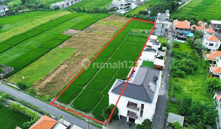 Hot List Di Jual Tanah Pinggir Jalan Lokasi Cemagi Mengwi Badung  1