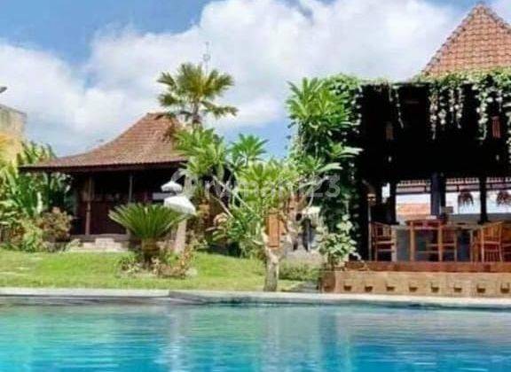 Hot List of Villas for Sale with Rice Field View, Sebatu Tegallalang, Ubud, Gianyar 1