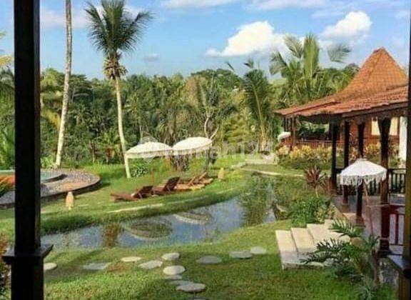 Hot List of Villas for Sale with Rice Field View, Sebatu Tegallalang, Ubud, Gianyar 2