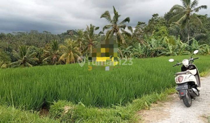 Hot List Di Jual Tanah Lokasi Tegallalang Ubud Gianyar 1