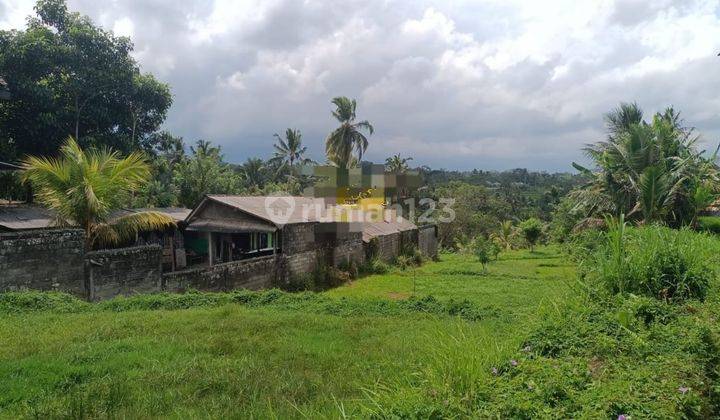 Hot List Di Jual Tanah Pinggir Jalan Bonus Bangunan Lokasi Tegallalang Ubud Gianyar 1