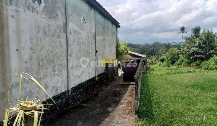 Hot List Di Jual Tanah Pinggir Jalan Bonus Bangunan Lokasi Tegallalang Ubud Gianyar 2