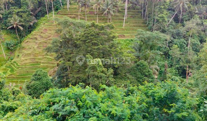 Hot List Di Jual Tanah View Sawah Lembah Tegallalang Ubud Gianyar 1