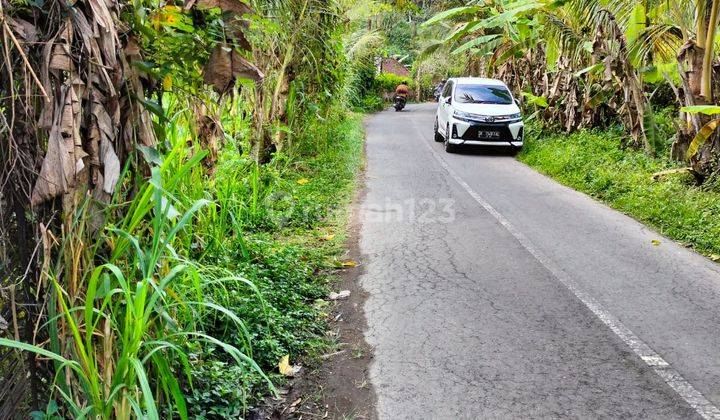 Hot List Di Jual Tanah Loss Sungai View Hutan Tegallalang Ubud Gianyar 1