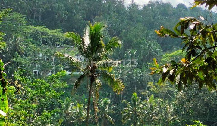 Hot List Di Jual Tanah Loss Sungai View Hutan Tegallalang Ubud Gianyar 2