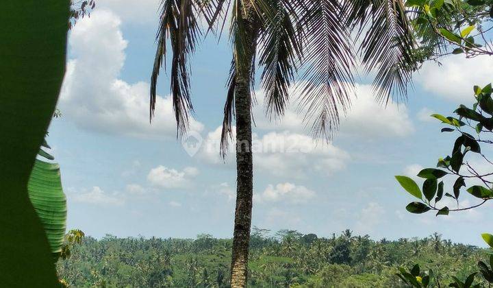 Hot List Di Jual Tanah View Hutan Sawah Lokasi Tegallalang Ubud Gianyar 2