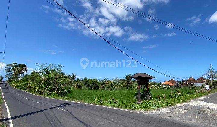 Hot List Di Jual Tanah Pinggir Jalan Utama Lokasi Sibanggede Abiansemal Badung 2