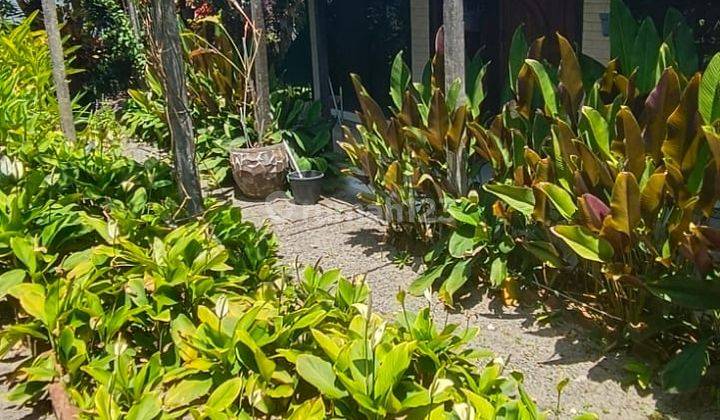 Hot List Di Jual Rumah Joglo Lokasi Kemenuh Ubud Gianyar 1