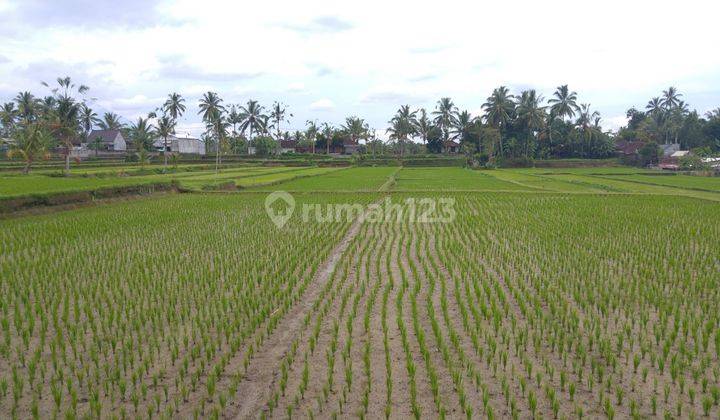 Hot List Di Jual Tanah Lokasi Tegallalang Ubud Gianyar 1