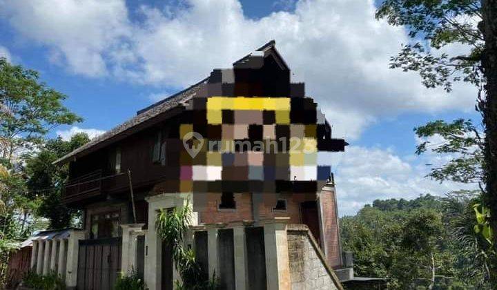 Hot List For Sale Land Bonus Building Location Sebatu Tegallalang Ubud Gianyar 1