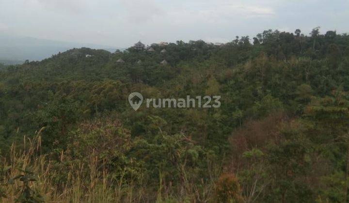 Hot List Di Jual Tanah Lokasi Munduk Gesing Banjar Buleleng 1