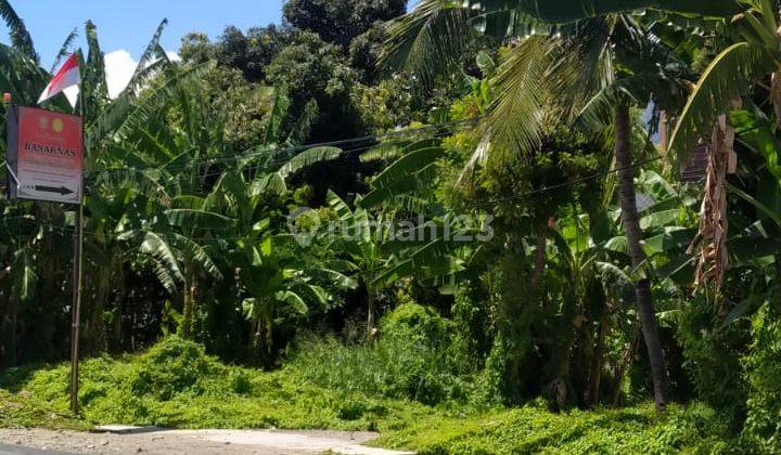 Hot List of Land for Sale on the Main Road, Patas Gerokgak Buleleng Location 2