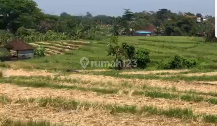 Hot List of Land for Sale in Munggu Mengwi Badung Location 1