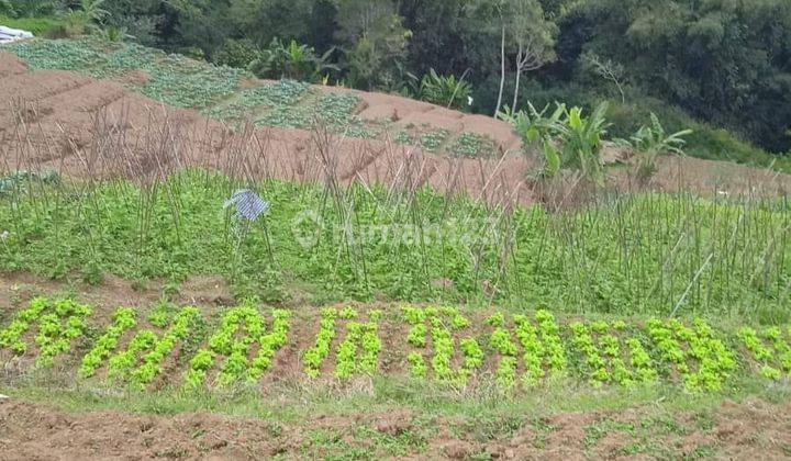 Hot List Di Jual Tanah Lokasi Bedugul Baturiti Tabanan 1