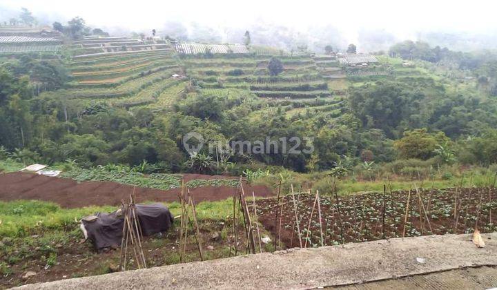 Hot List Di Jual Tanah Lokasi Bedugul Baturiti Tabanan 2