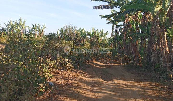 Hot List Land for sale in Asah Gobleg Banjar Buleleng 2