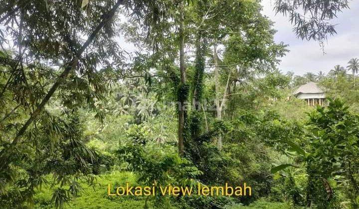 Hot List Di Jual Tanah View Lembah Sungai Lokasi Singakerta Ubud Gianyar 2