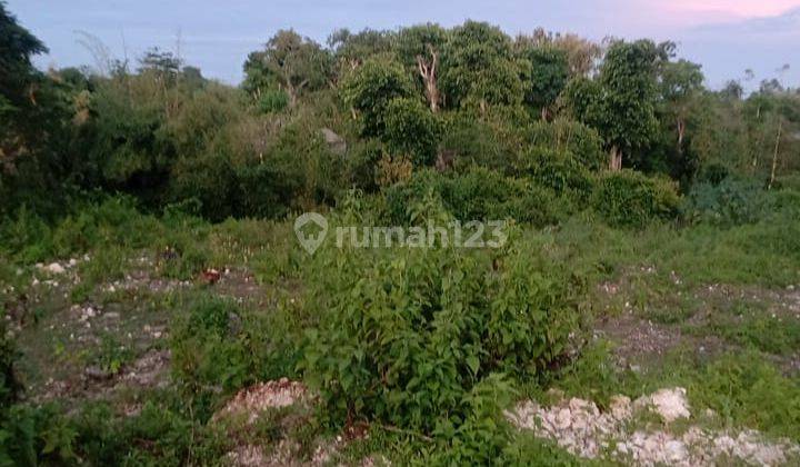 Hot List of Land for Sale in Ungasan, South Kuta, Badung 1