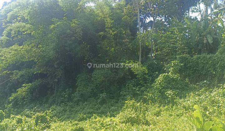 Hot List of land for sale in Abiansemal Badung location 1