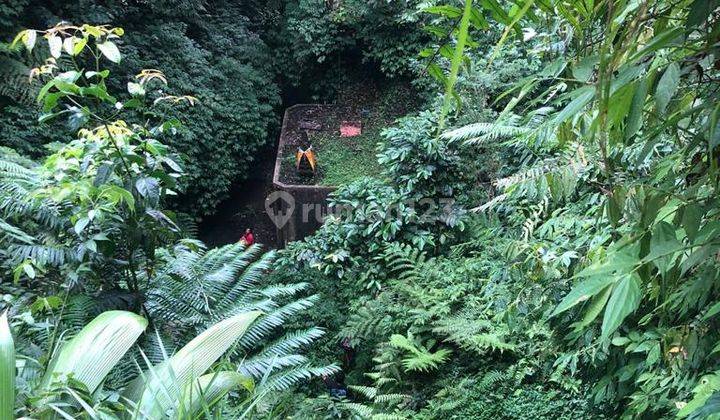 Hot List Di Jual Tanah Loss Sungai View Hutan Lokasi Ubud Gianyar 1