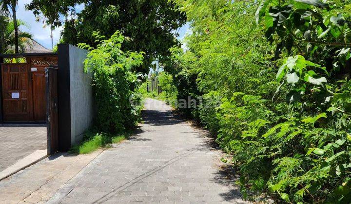 Hot List Di Jual Tanah View Sawah Lokasi Brawa Canggu Badung 2