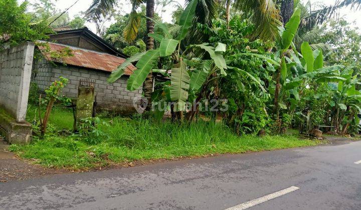 Hot List Di Jual Tanah Lokasi Sibang Gede Abiansemal Badung 1