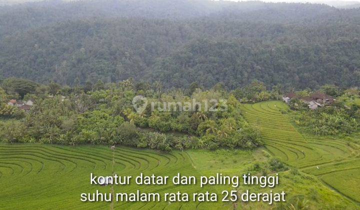 Hot List Di Jual Tanah View Laut Lokasi Lumbung Tabanan 1