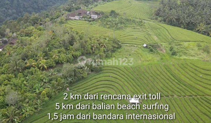 Hot List of Sea View Land for Sale, Lumbung Tabanan Location 2