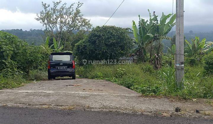 Hot List Di Jual Tanah Lokasi Pelaga Petang Badung 2