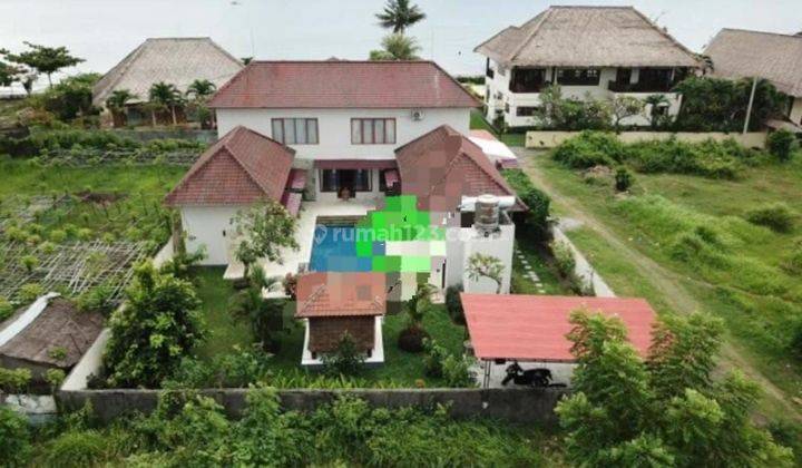 HOT LIST TERMURAH DI KELASNYA DI JUAL VILLA LOKASI DENCARIK BANJAR BULELENG
 1