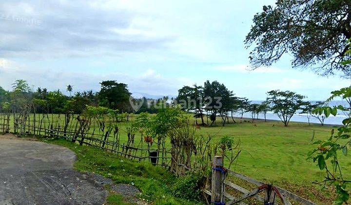 CHEAPEST HOT LIST IN ITS CLASS LAND FOR SALE LOSS BEACH VIEW SEA LOCATION SABA BLAHBATUH GIANYAR

* Plot 1 2