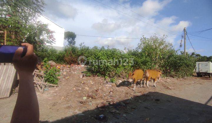 HOT LIST TERMURAH DI KELASNYA DI JUAL TANAH LOKASI CARGO UBUNG KAJA DENPASAR UTARA 2