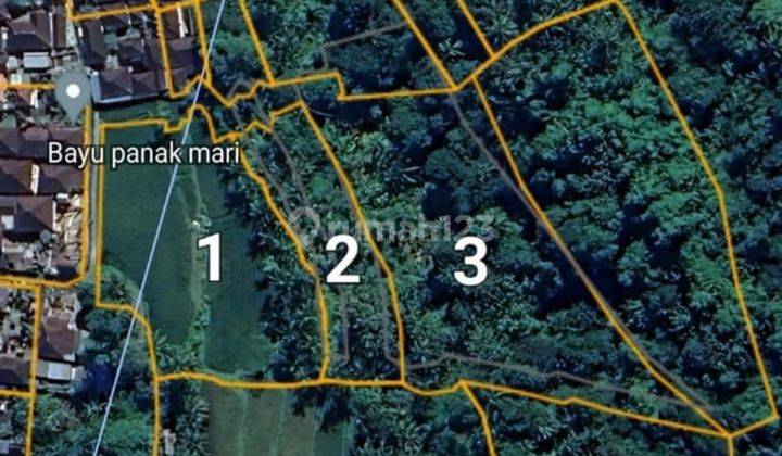 TOP URGENT FOR SALE RIVER VIEW LAND & FIELD LOCATION KENDERAN TEGALLALANG UBUD GIANYAR
 1