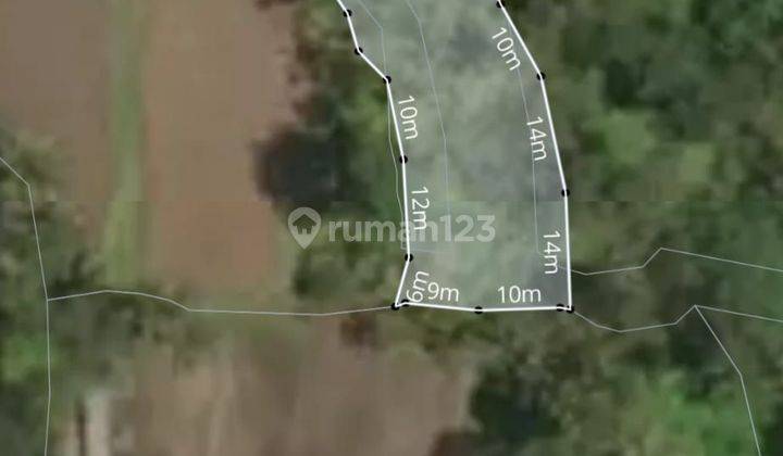 TOP URGENT FOR SALE RIVER VIEW LAND & FIELD LOCATION KENDERAN TEGALLALANG UBUD GIANYAR
 2