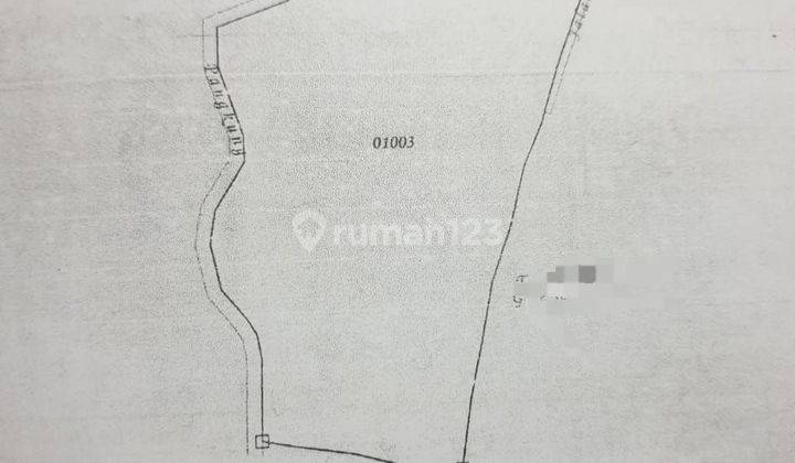 TOP URGENT DI JUAL TANAH PINGGIR JALAN PROVINSI LOKASI TEMBOK TEJAKULA BULELENG
 2