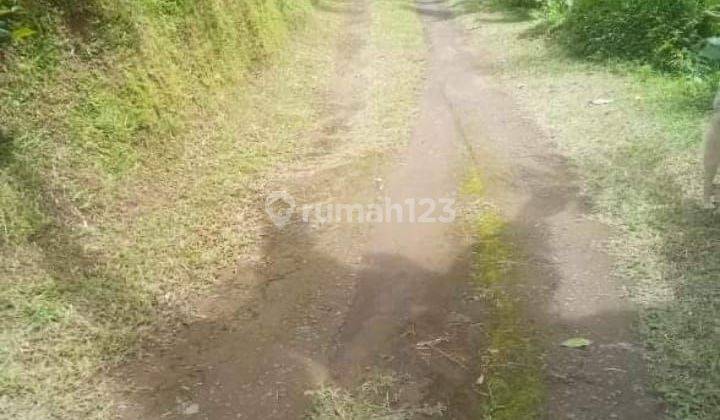 TOP URGENT DI JUAL TANAH VIEW SAWAH & LEMBAH LOKASI TEGALLALANG UBUD GIANYAR 1