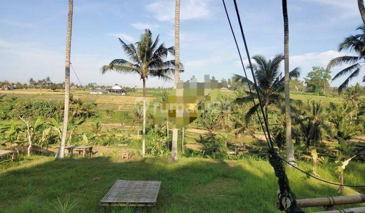 TOP URGENT FOR SALE LAND LOCATION DALUNG ABIANSEMAL BADUNG 2